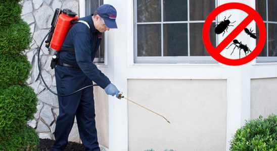 Çatak Kene İlaçlama böcek ilaçlama ve haşere kontrolü — ilaclama-tr.com